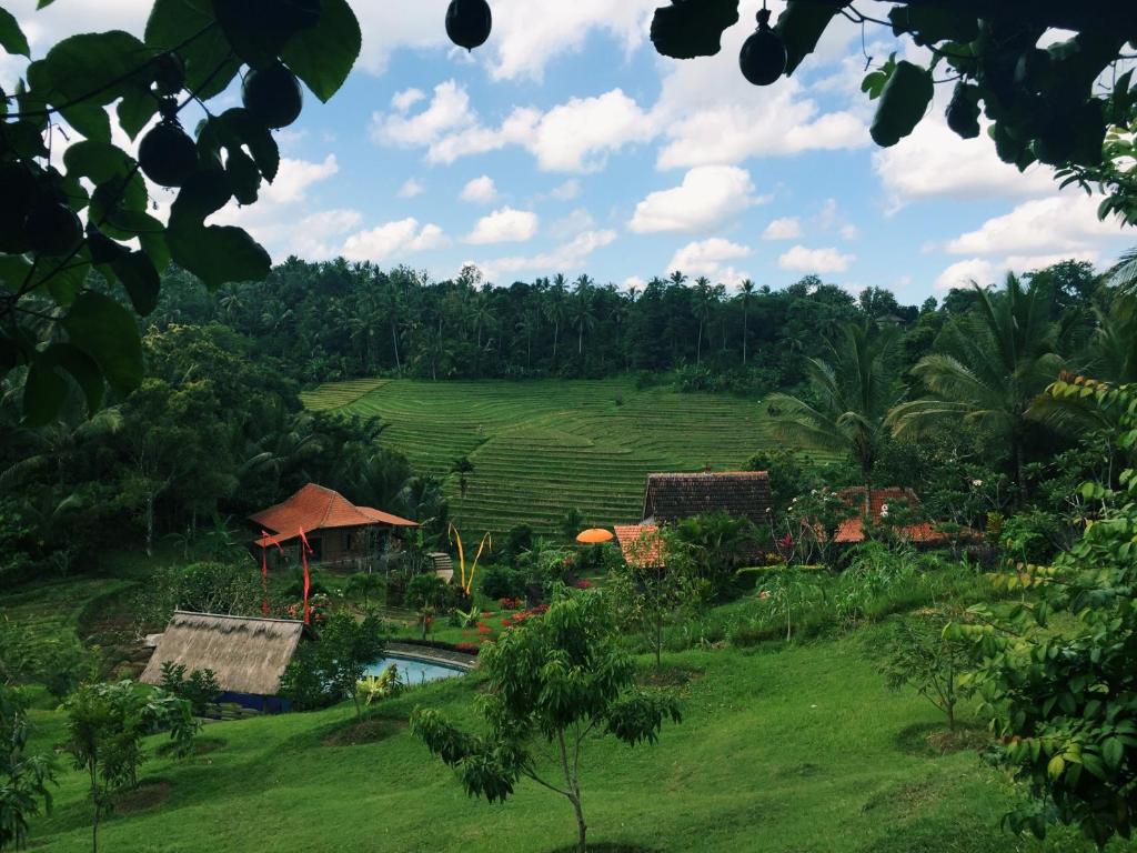 Bali Lush (Selemadeg)
