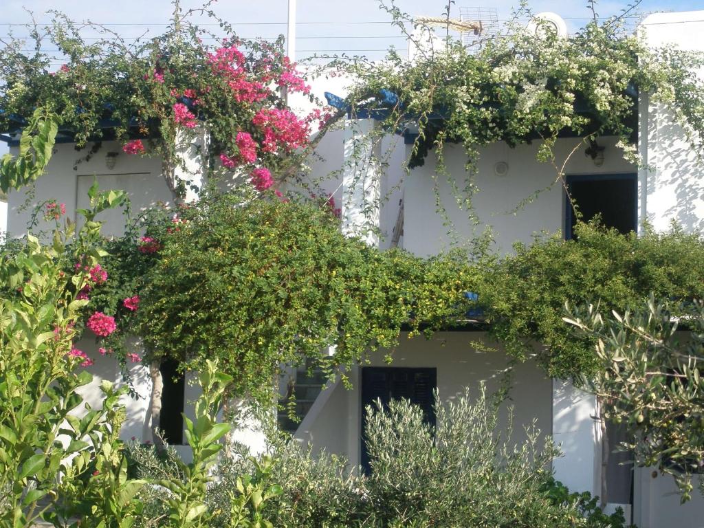 Villa Anna (Parikia)