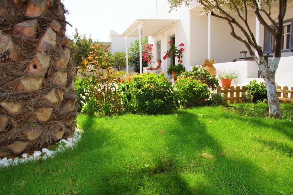 George's Place Sifnos - apartments (Apollonia)
