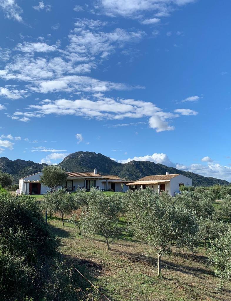 Macciuneddu Country Retreat (Golfo Aranci)