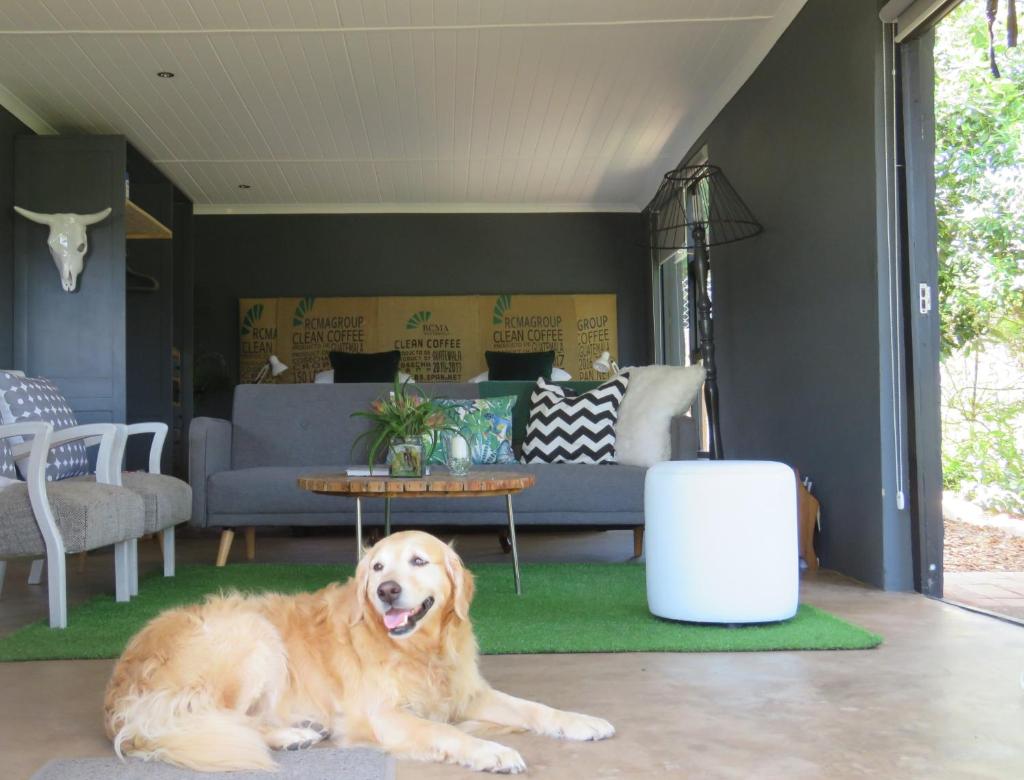 The Studio @ Mount View Lodge (Sedgefield)