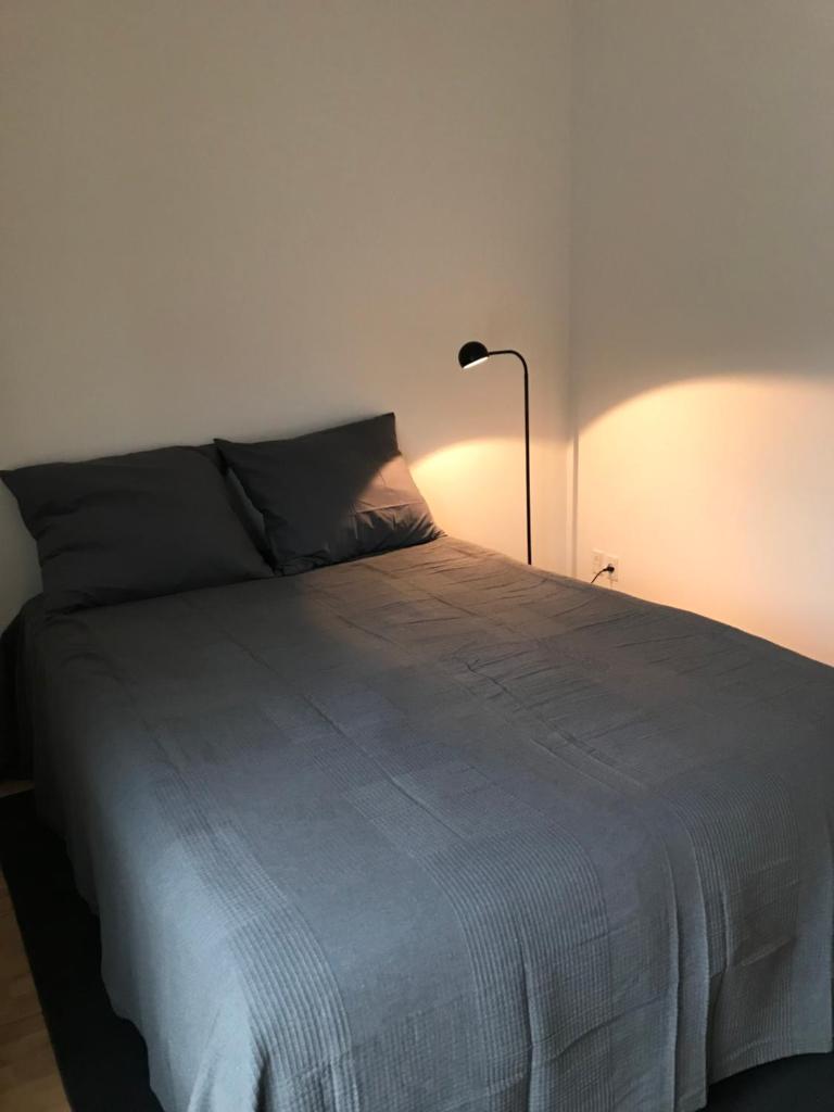 Spacious and renovated flat
