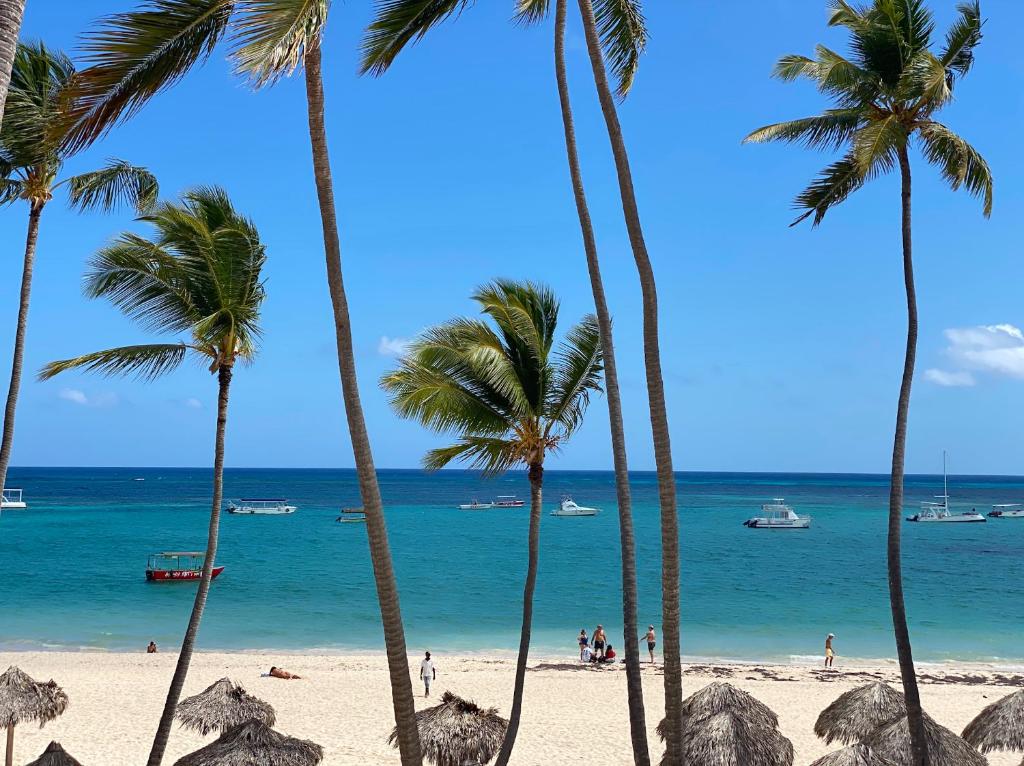VILLAS & APARTMENTS playa LOS CORALES - wifi