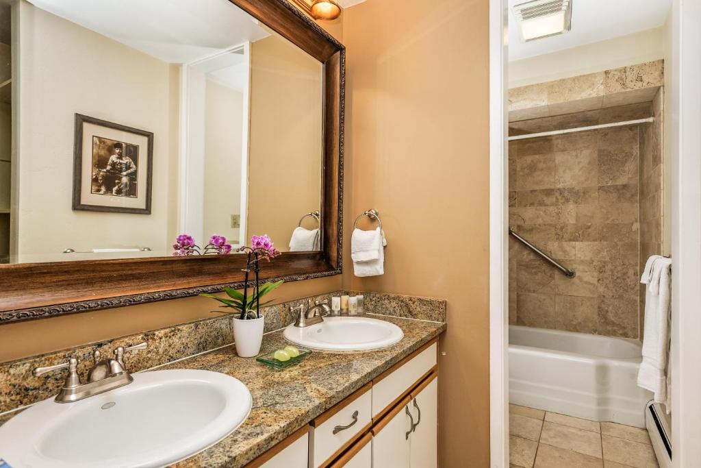 Standard 2 Bedroom - Aspen Alps #115 (Aspen)