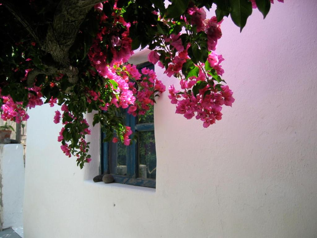 La Porta Rossa