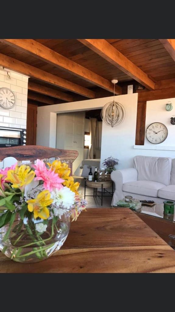 Butterfly Suite (Corralejo)