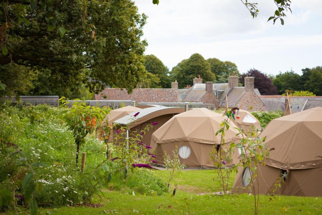 Durrell Wildlife Camp (Trinity)