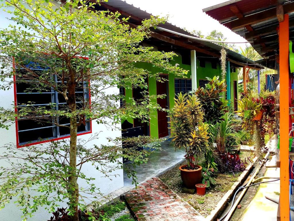 Tony’s Guesthouse at Teluk Bahang