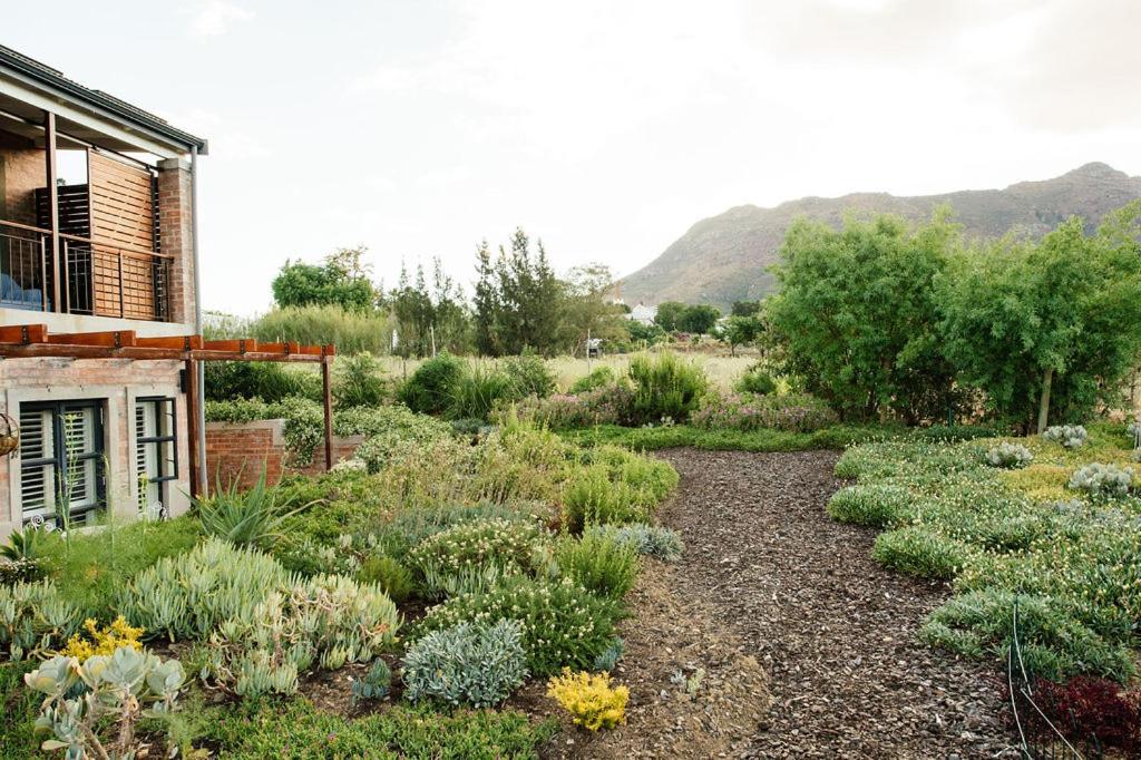Vineyard Views Country House (Riebeek-Kasteel)
