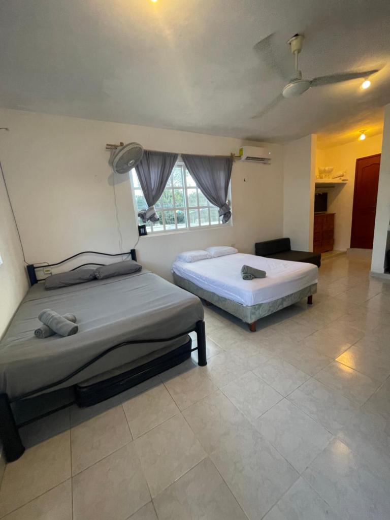Homey studio in the CENTRO of town !