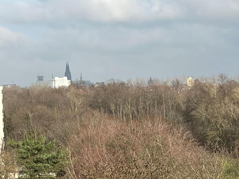 Parkblick mit Dom
