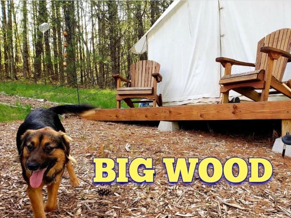 Tentrr Signature Site - Big Wood (Acra)