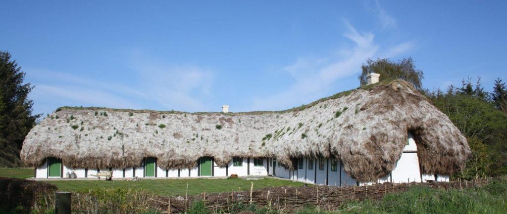 Tanggården Skoven, LÆSØ