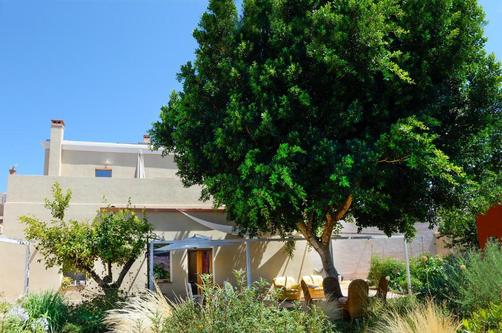 Casa Mediterranea (Nurachi)