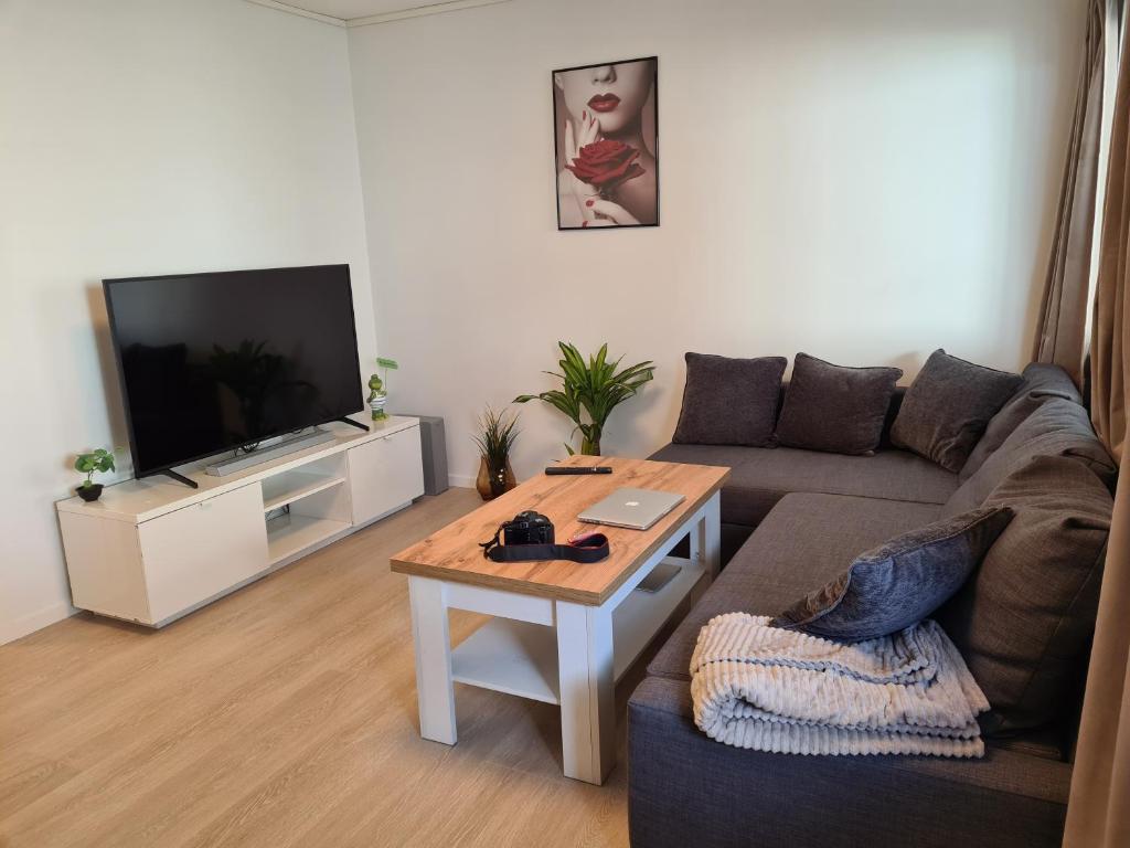 Studio leilighet