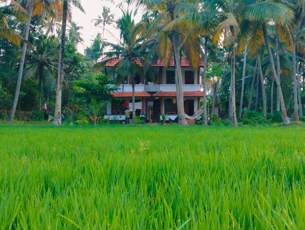 Paddy Farm Heritage