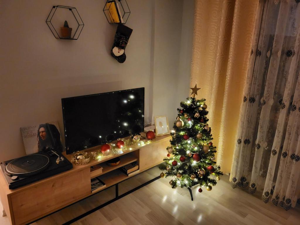 Diti's Apartment