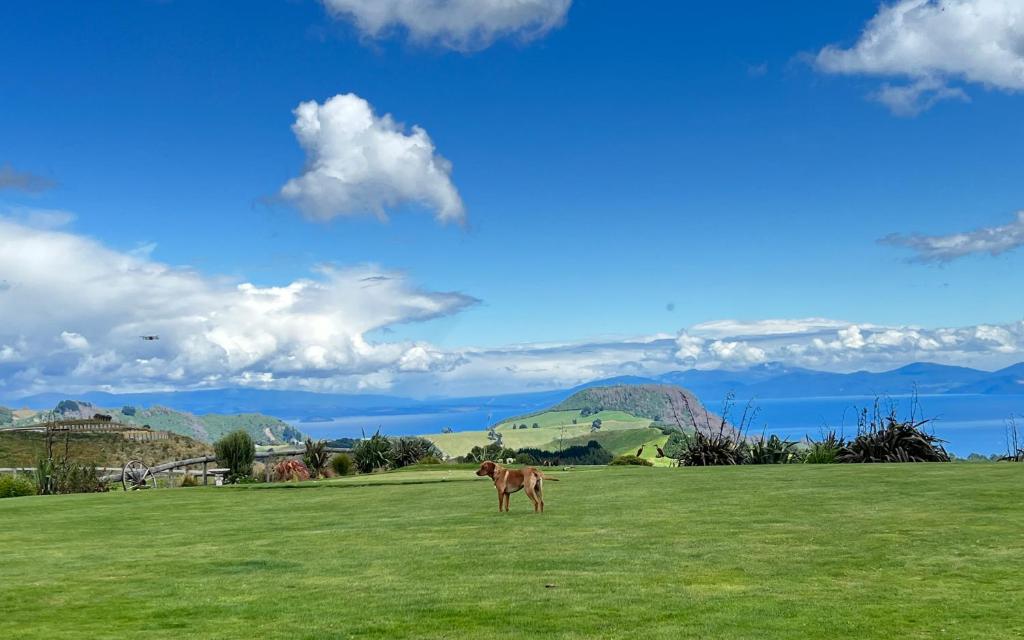 Hilltop Whakaipo Estate
