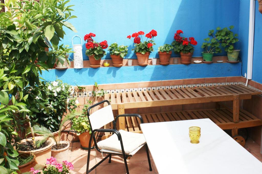 La Terraza Azul