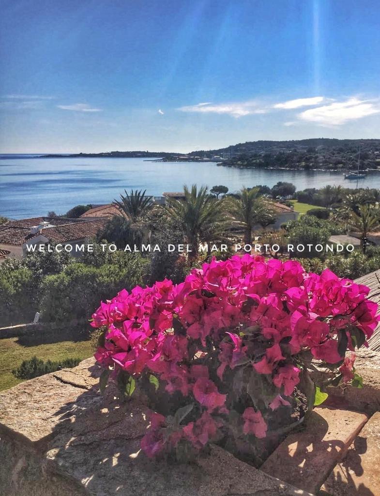 Alma Del Mar Porto Rotondo (Porto Rotondo)
