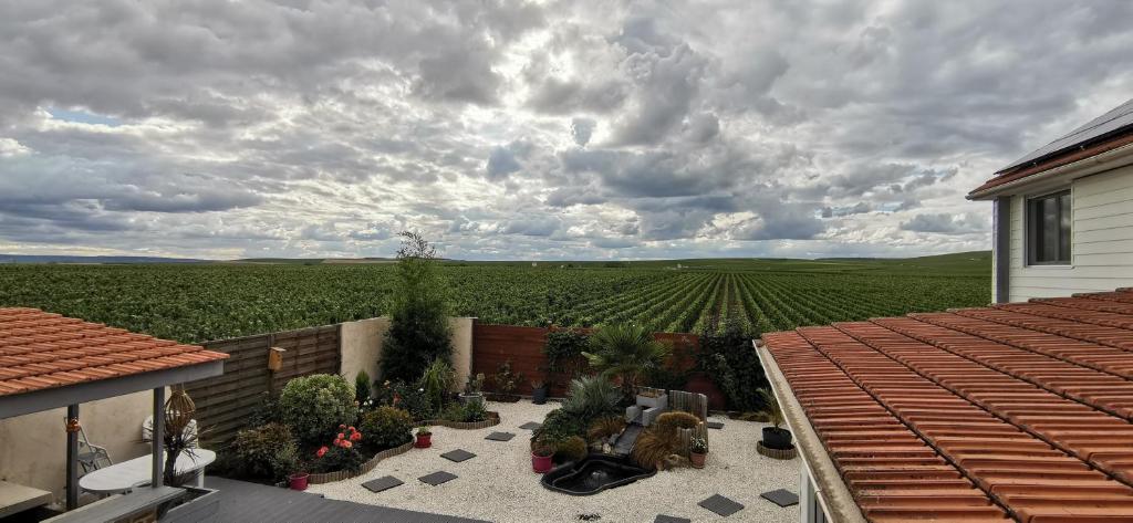 Au Bouchon Champenois (Bouzy)