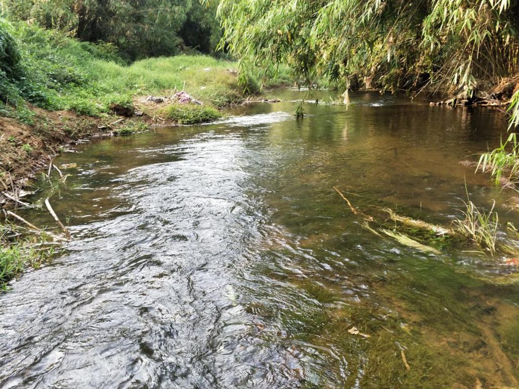 Vythiri Stream View