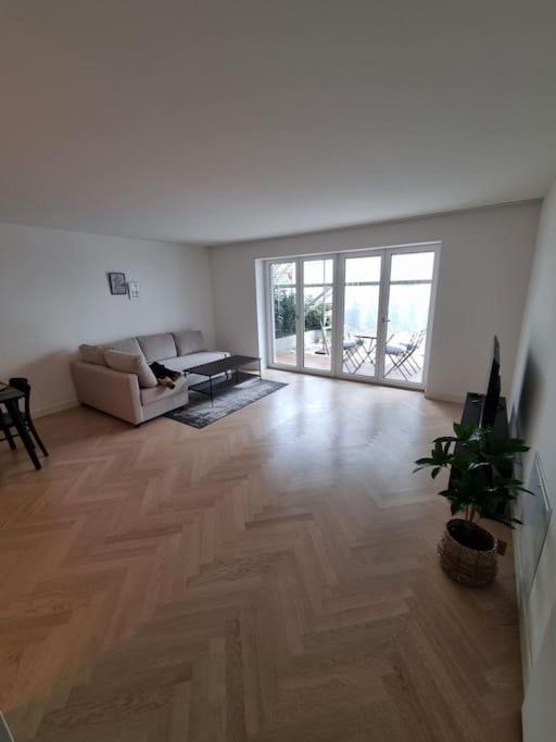Wohlfühloase mitten in der Stadt