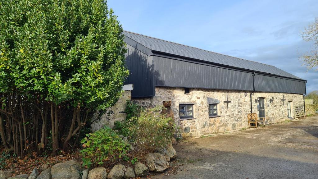 Peibio at Llanfair Hall (Dwyran)