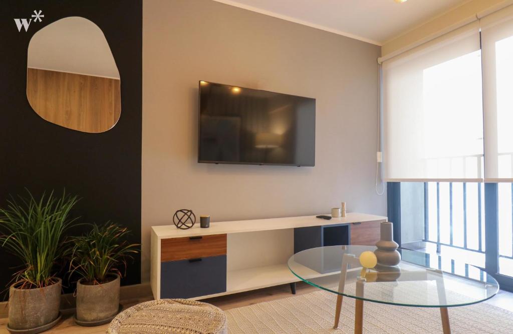 Beautiful 1 BR in San Isidro
