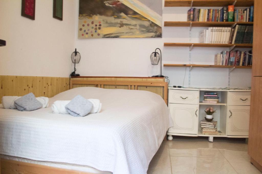 Spring apartment Bahar nissim Jerusalem