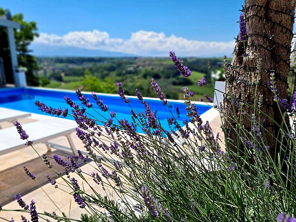 Il Nido B&B (San Vito Chietino)
