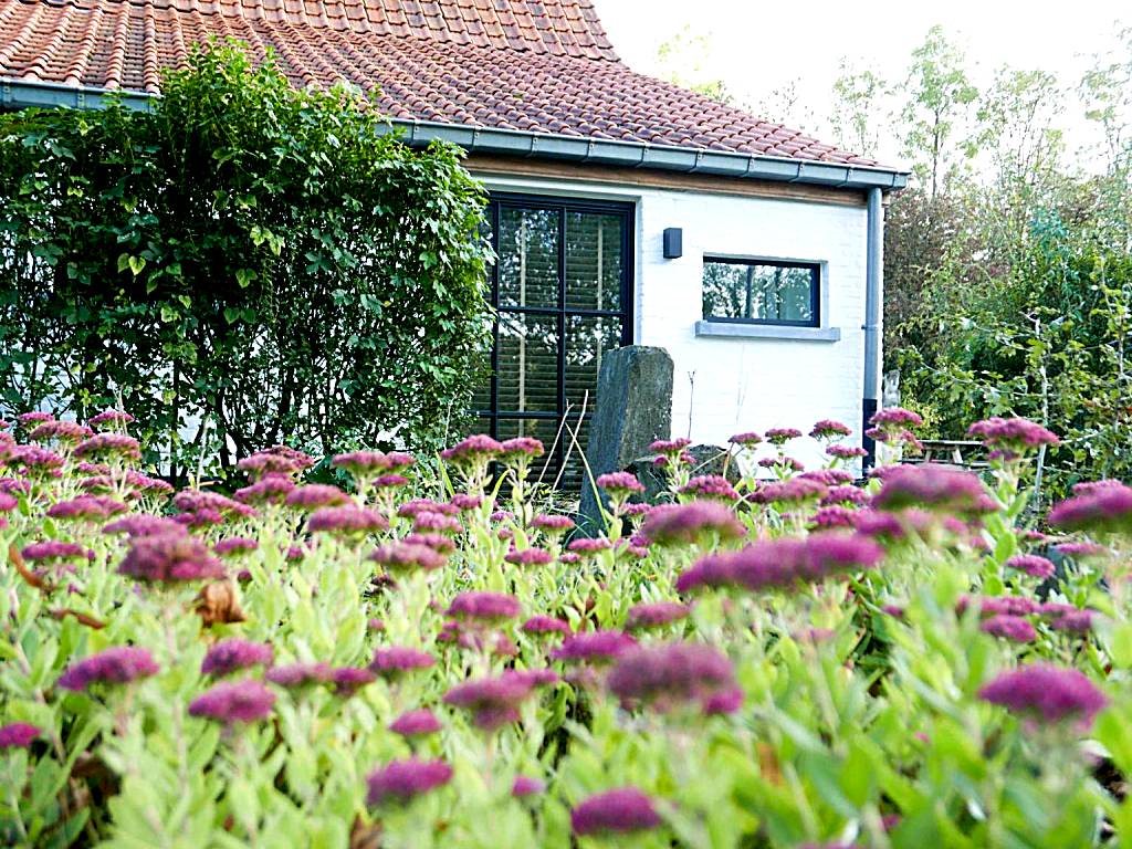 De Gulle Beemden (Hulshout)