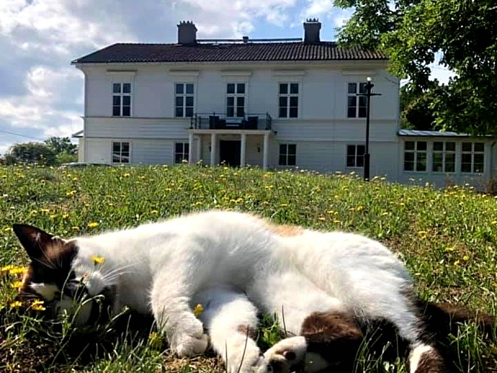 Amiralsgården Verstorp (Karlskrona)