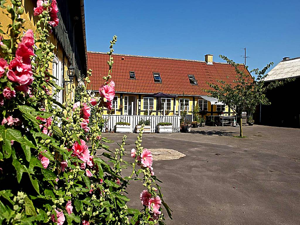 Myregaard B & B and Apartments (Snogebæk)
