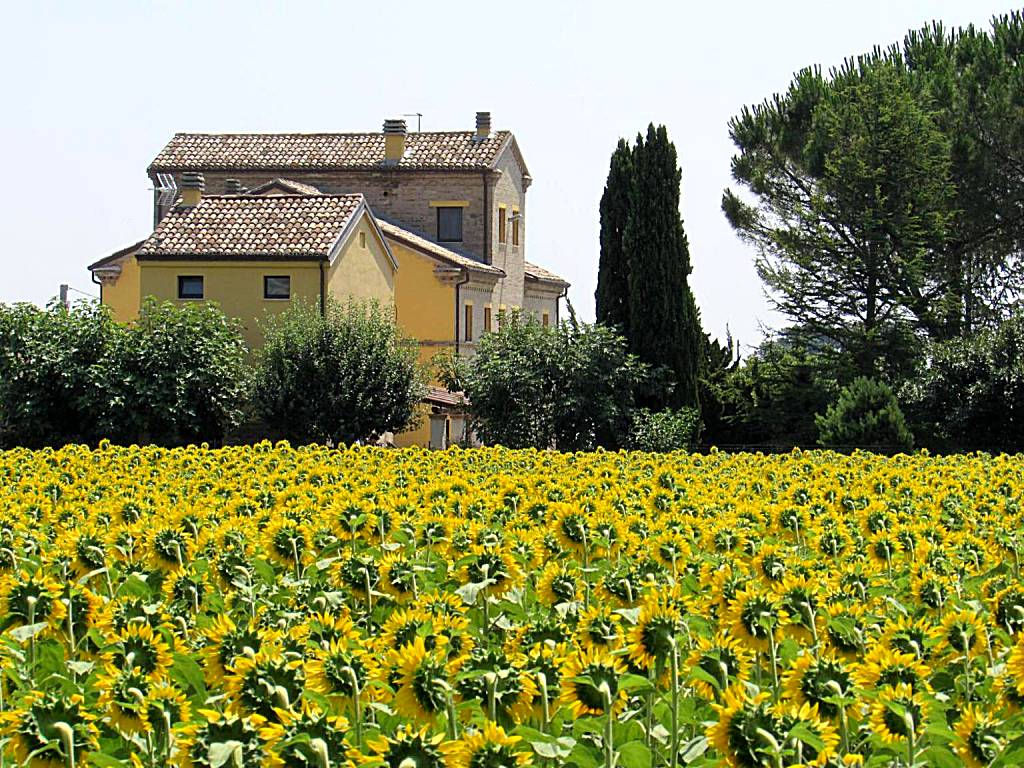 Alla Bigattiera (Osimo)