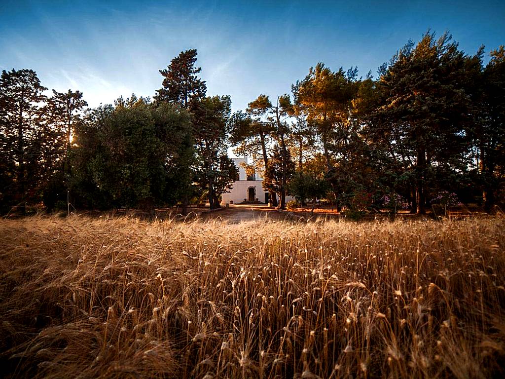 Masseria Fracchicchi