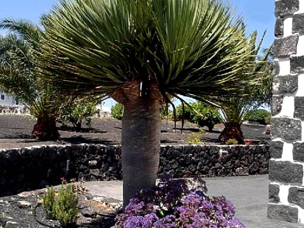 Casa Rural Finca Isabel (Mozaga) 
