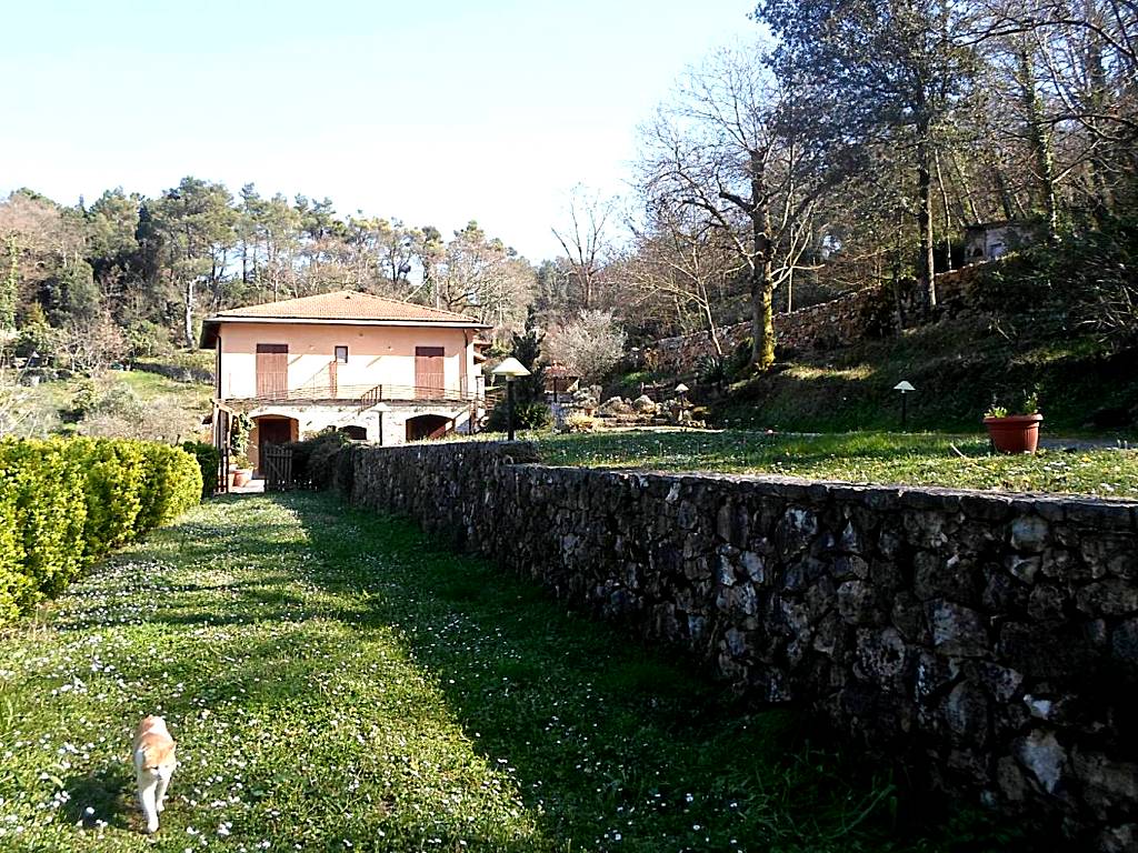 I Lecci