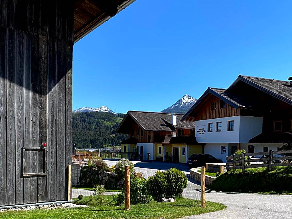 Bauernhof Unterbichl (Flachau) 