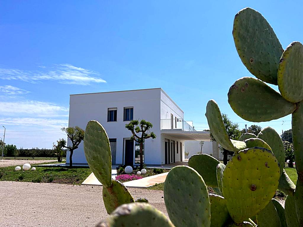 Verde Blu Vacanze