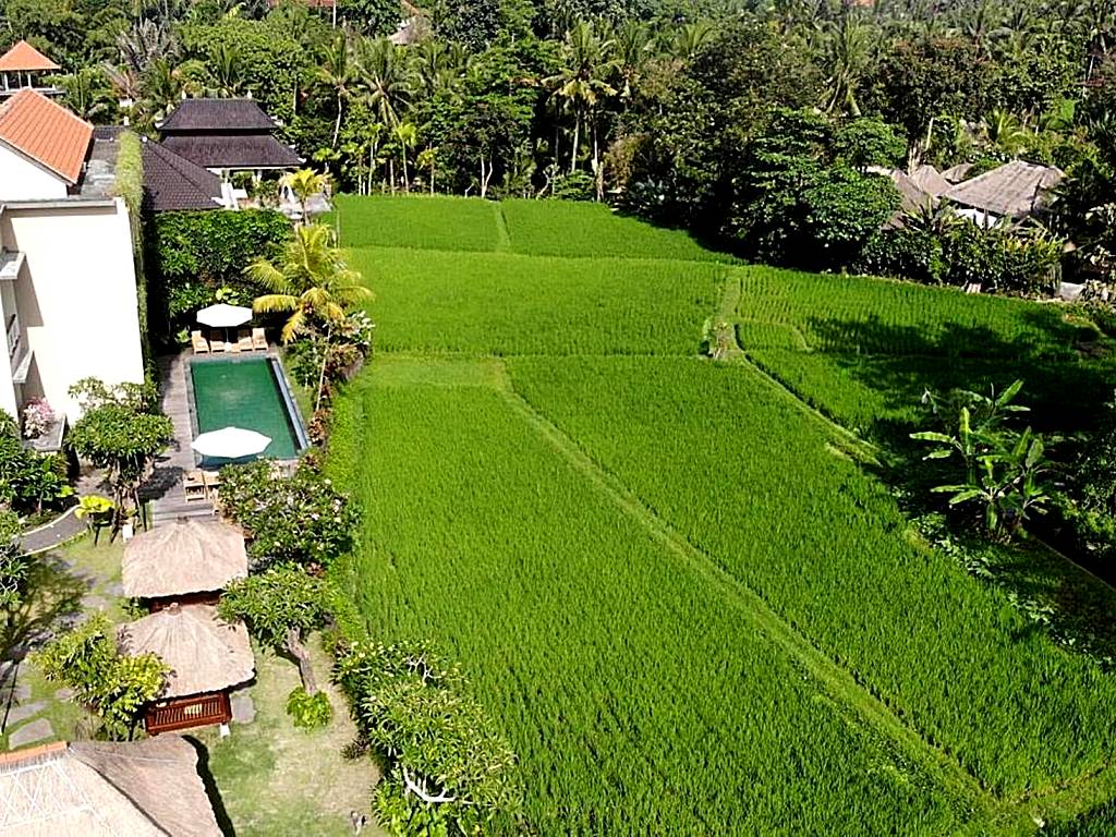 Byasa Ubud