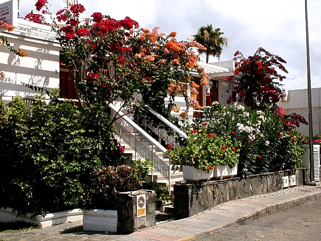 Apartamentos El Capricho