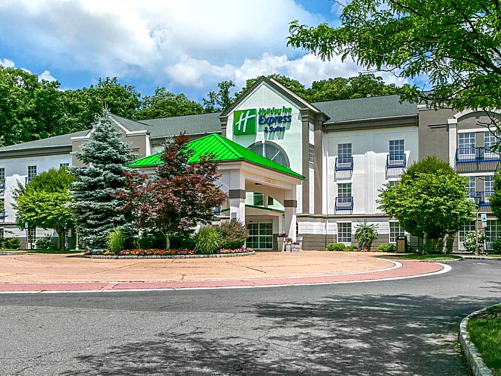 Holiday Inn Express Mount Arlington (Mount Arlington)
