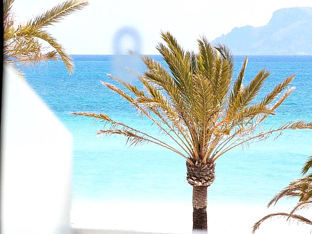 Bonavida Apartments (Port d'Alcudia)
