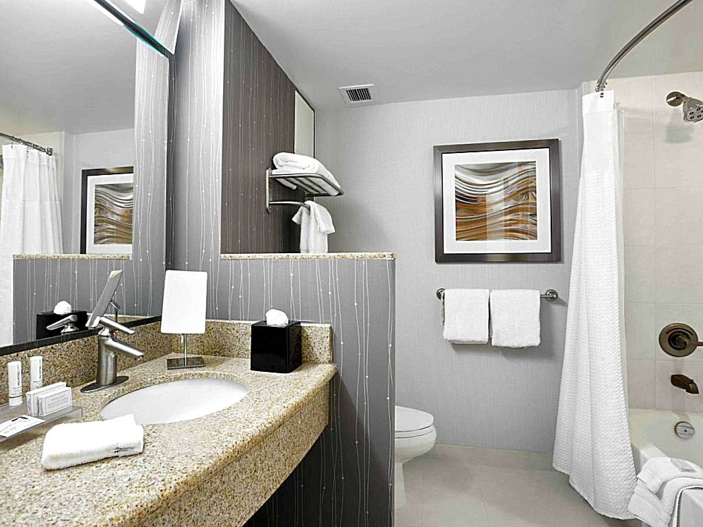 Courtyard by Marriott Toronto Brampton: King Room with Spa Bath