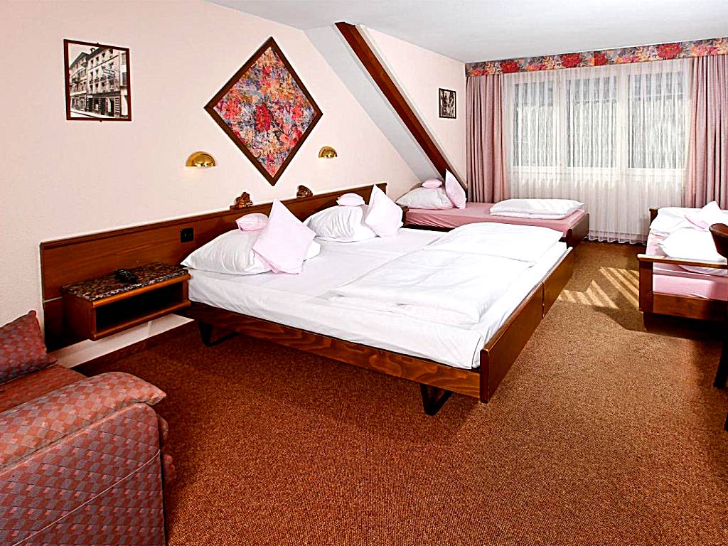 BASLERTOR Summer Pool Hotel: Quadruple Room (Luzern)