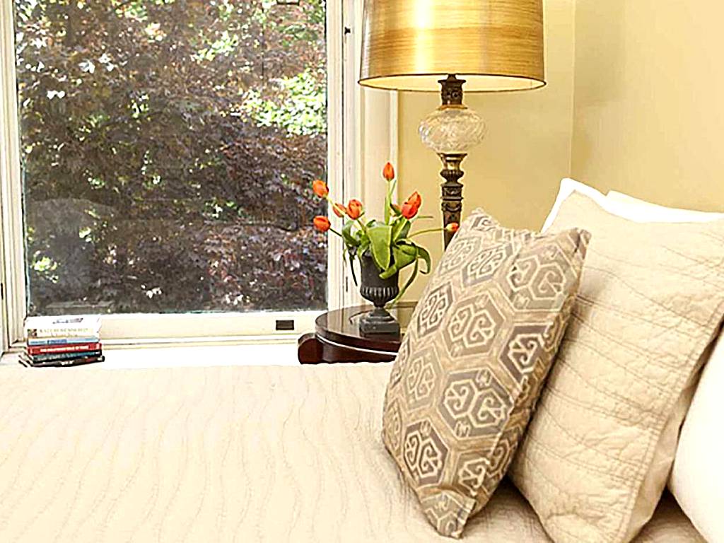 Morgan State House Inn: Deluxe Queen with Park View (Albany)