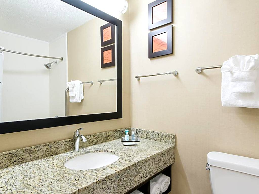 Wyndham Garden Hotel Cross Lanes Charleston: King Room with Spa Bath (Charleston)