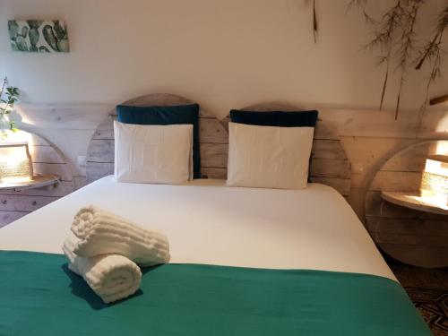Cactus Host (Las Palmas de Gran Canaria)