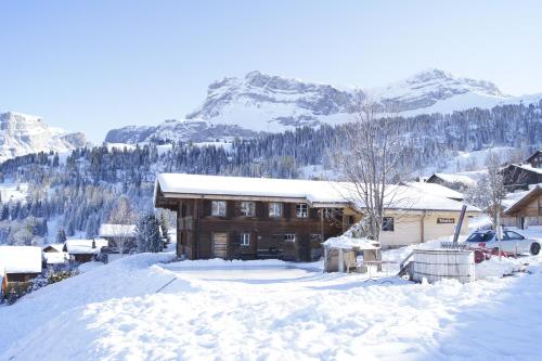Bärghuus Axalp (Axalp)